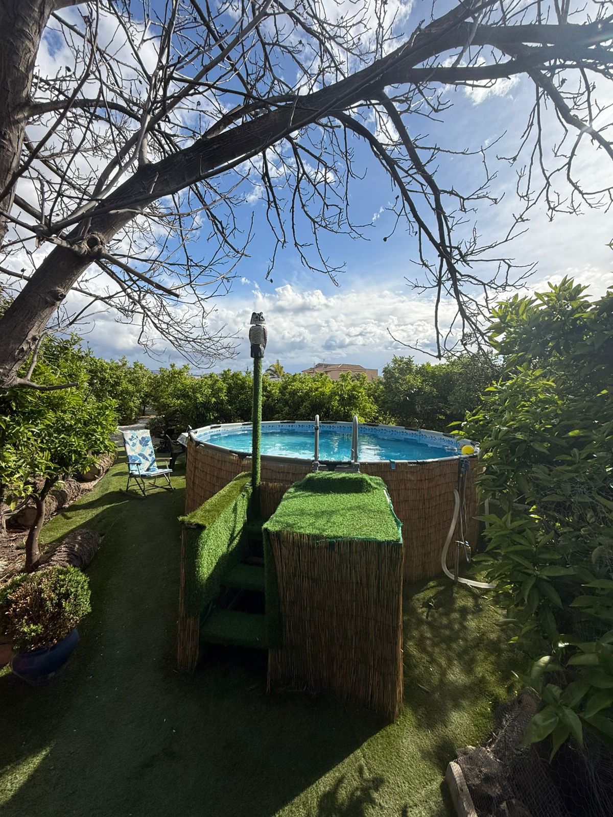 Piscina entre naranjos 1
